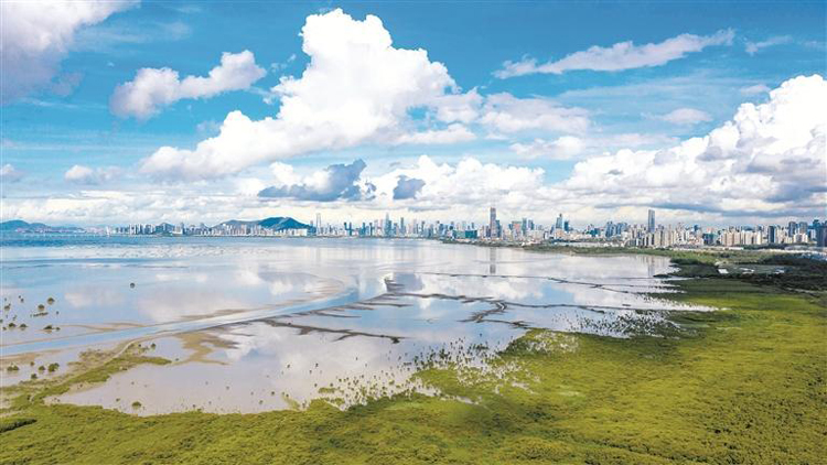 「雙鐵線」保護城市生物繁衍生息 「生物多樣性魅力城市」深圳答卷