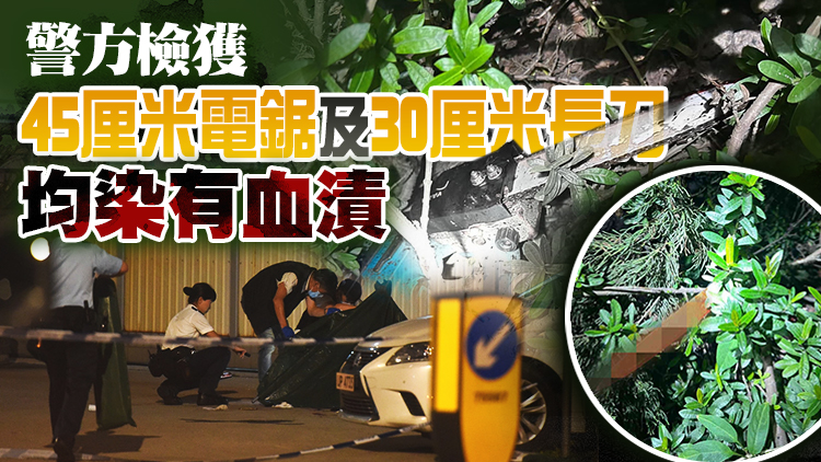 元朗電鋸謀殺案｜警方：兇手已逃離香港 與死者認識 雙方有私人恩怨