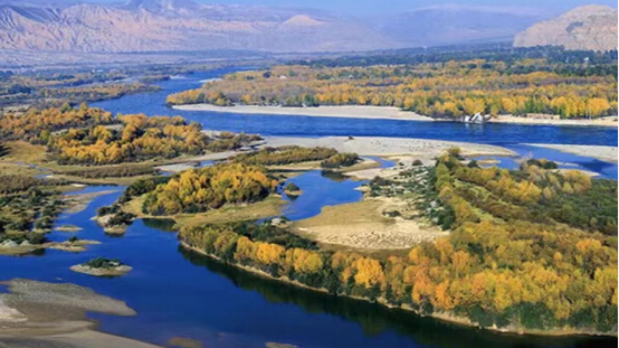 甘肅66縣（區）統一開展黃河流域水資源保護專項行動