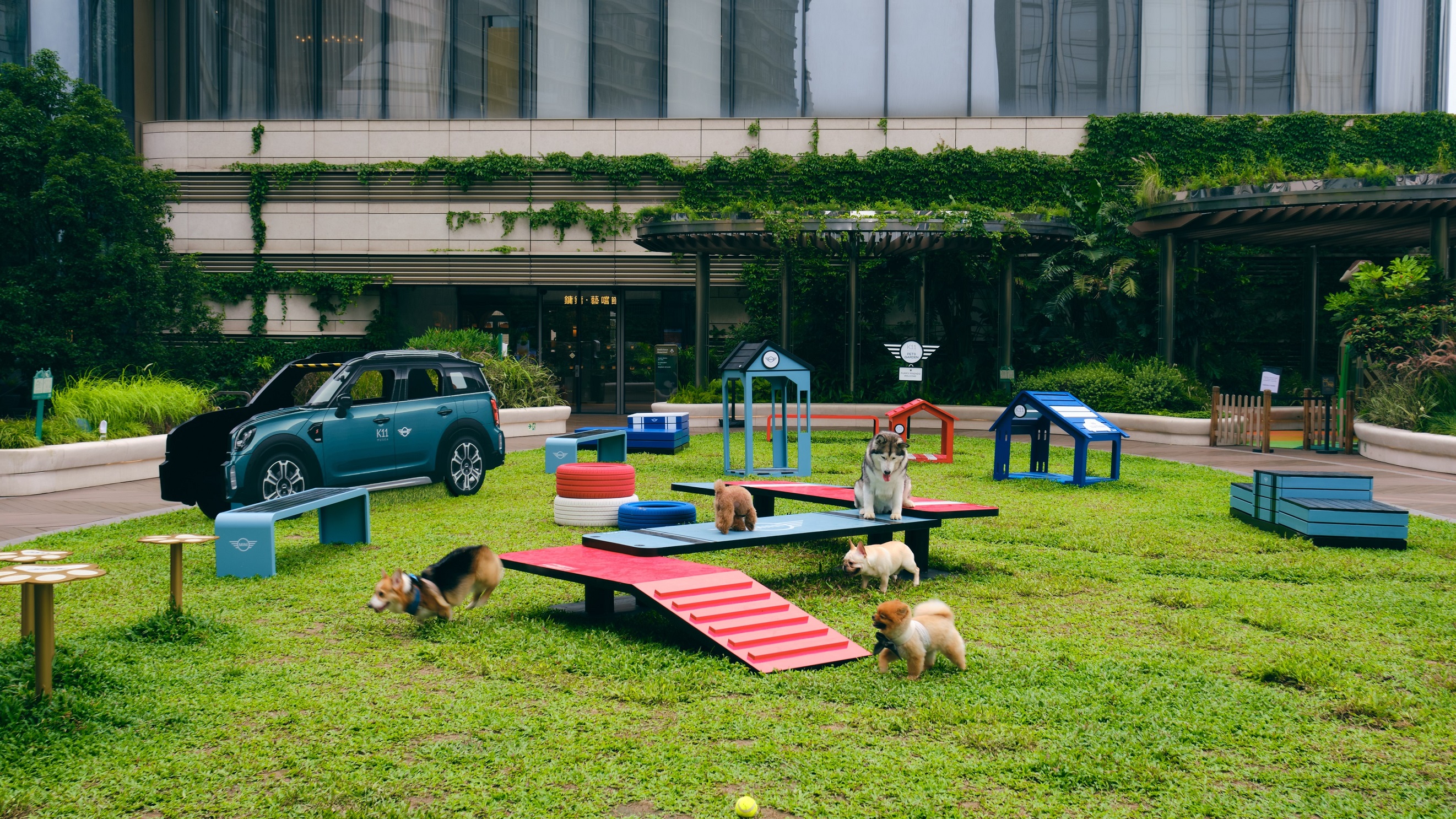【玩樂】香港首個汽車主題寵物友善花園