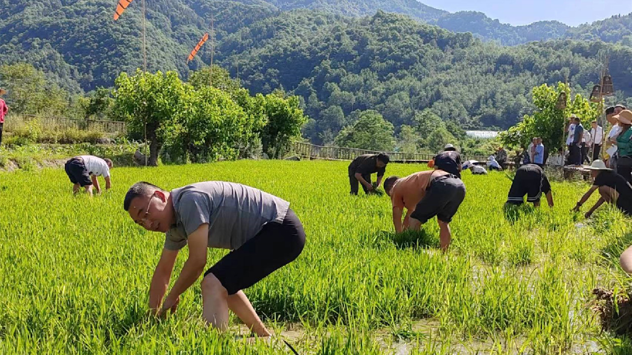 傳播農耕文化  四川平武農民運動會別開生面