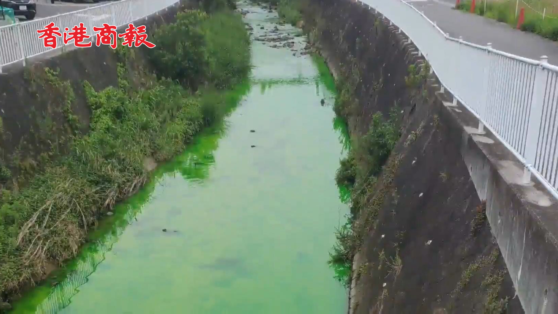 有片 | 檢測出入浴劑成分  日本一條河變成熒光綠色
