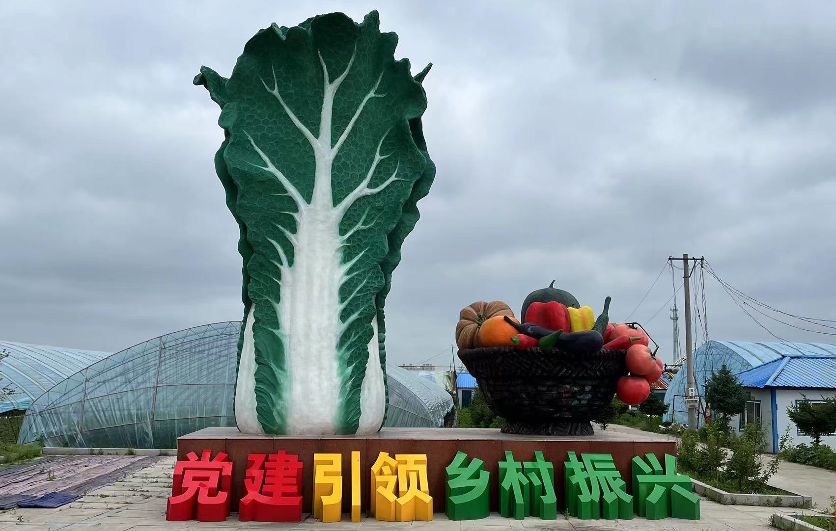 黑龍江海林鎮蔬菜村：年產1.1億斤 打造龍江蔬菜產業第一村
