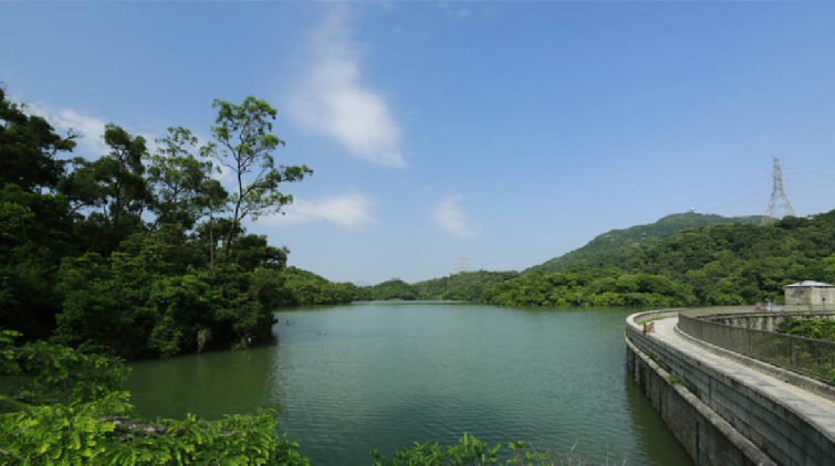 九龍水塘現浮屍 水務署：待水質檢驗及格後恢復使用儲水