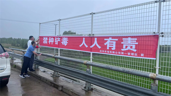 黑龍江洪河農場有限公司：多措並舉打出禁種鏟毒「組合拳」
