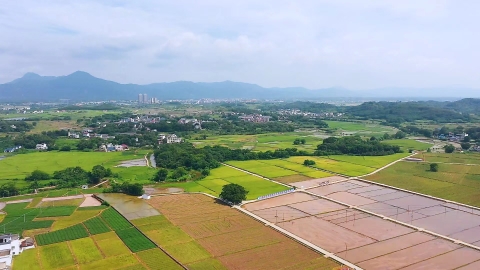 廣東南雄計劃種植晚稻27.5萬畝
