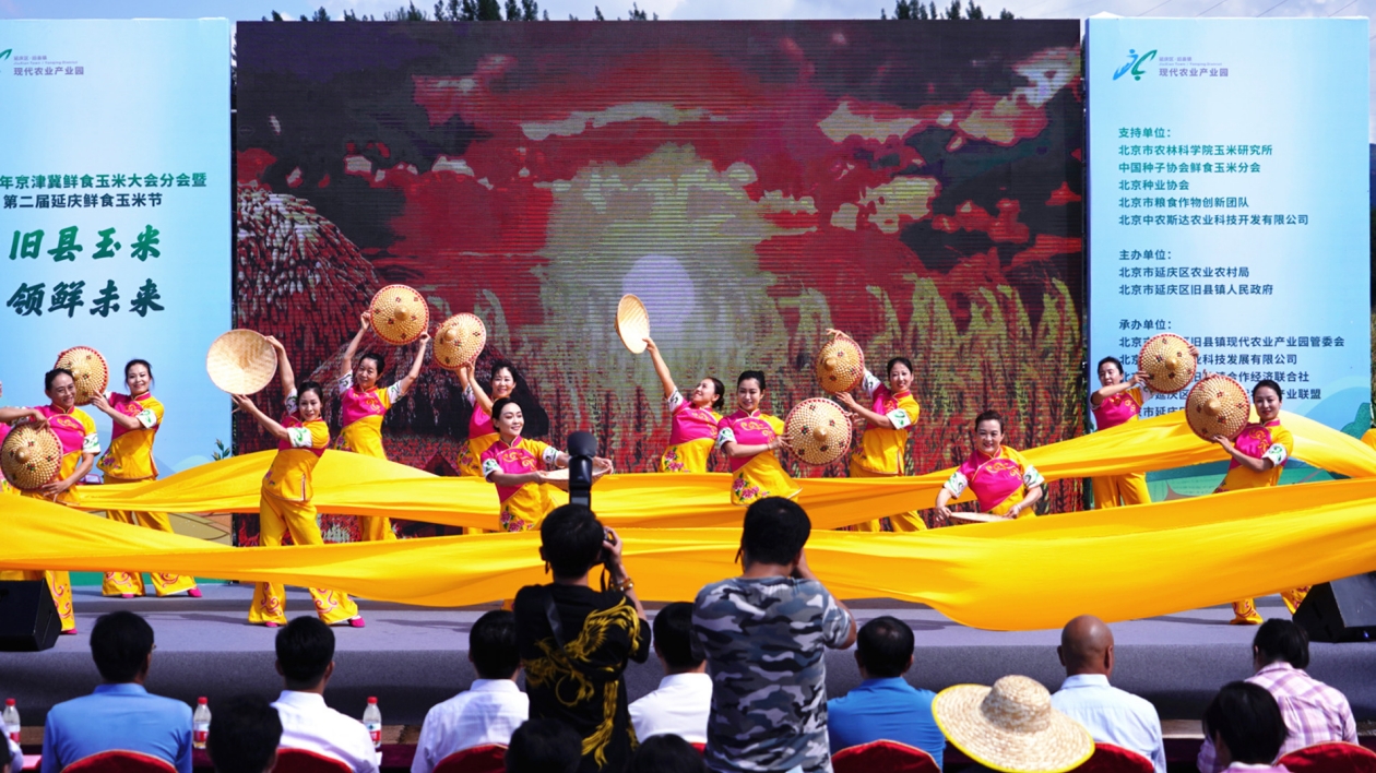 2023年京津冀鮮食玉米大會分會暨第二屆延慶鮮食玉米節舉行