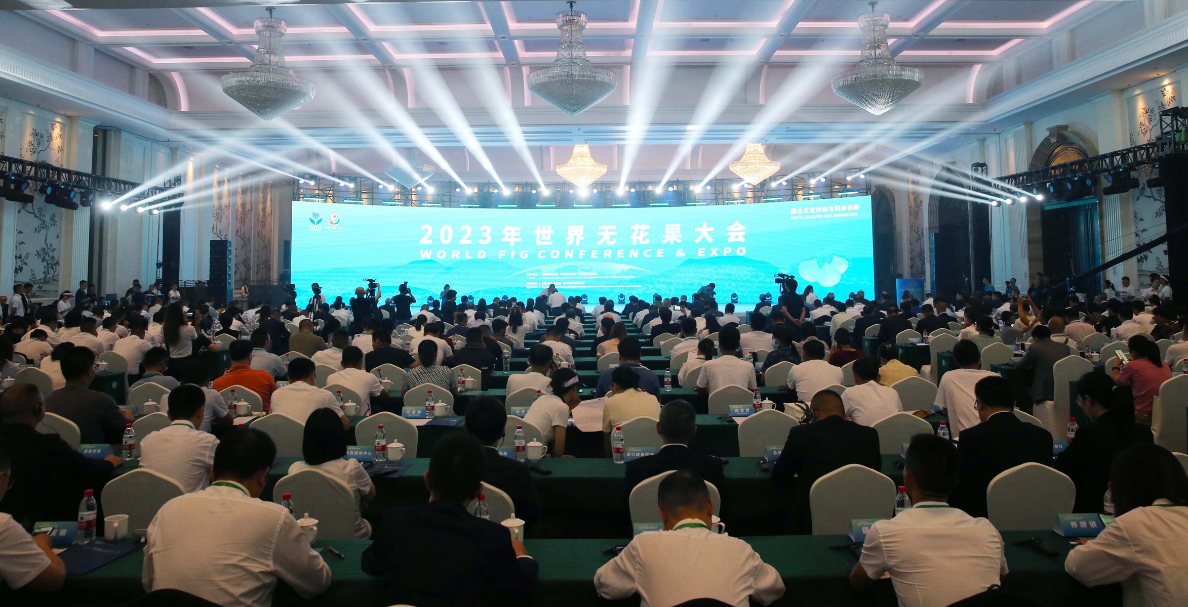 2023年世界無花果大會在四川內江威遠開幕 系首次落地中國