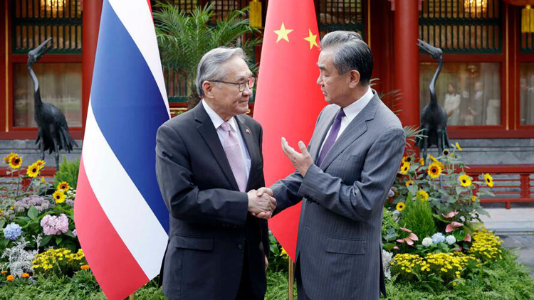 王毅同泰國副總理兼外長敦舉行會談