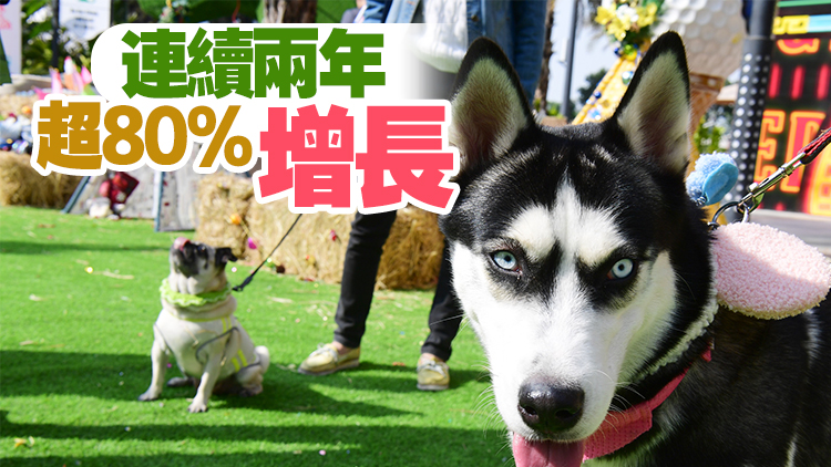 廣東寵物保險出險率15.88% 居全國第一