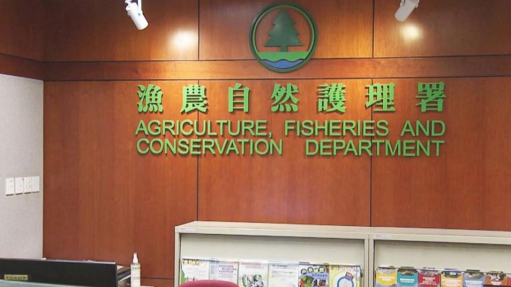 漁護署公布本地漁產品輻射檢測結果 50樣本全合格