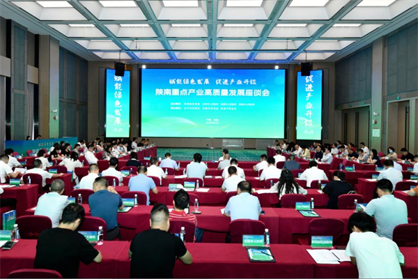 促進產業升級 陝南重點產業高質量發展座談會舉辦