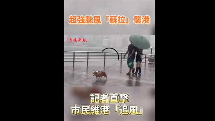 有片｜超強颱風「蘇拉」襲港 記者直擊市民維港「追風」