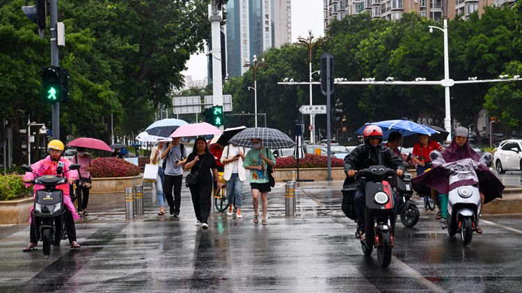 深圳全市範圍內解除「五停」