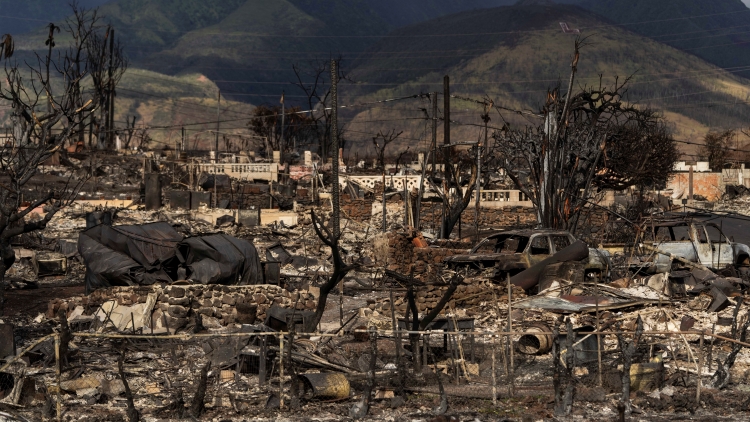 美國官方數據：仍有385人因夏威夷野火失蹤