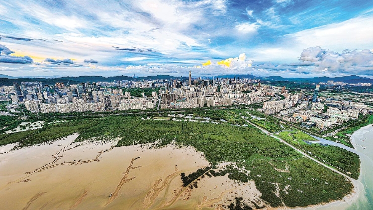 ​ 《濕地公約》批准在中國設立國際紅樹林中心
