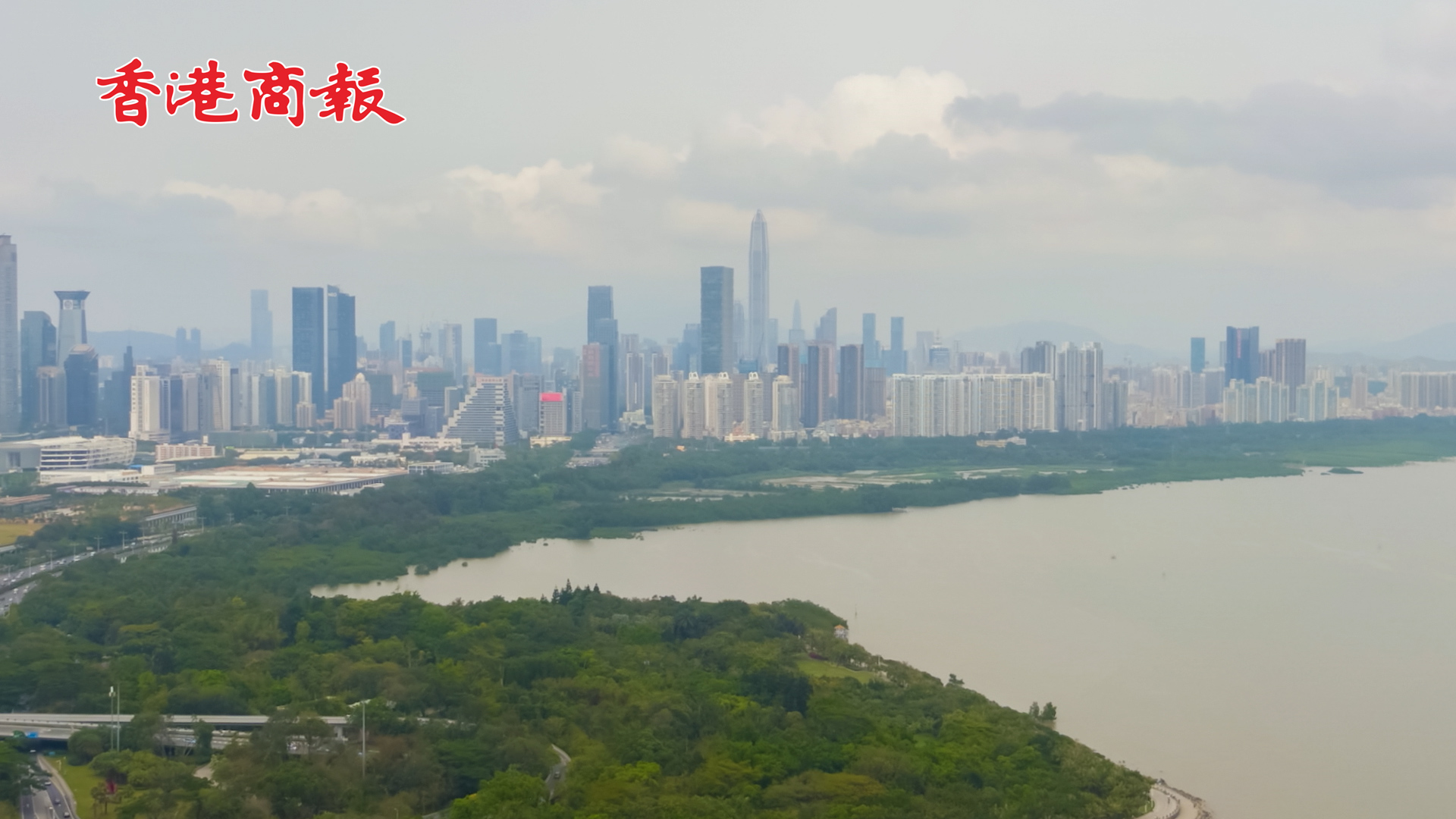 有片丨全球首個「國際紅樹林中心」正式落戶深圳