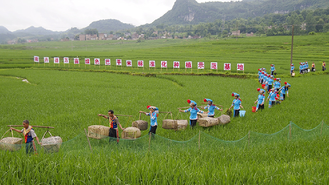 桂6家企業入選首批國家現代農業全產業鏈標準化示範基地創建單位