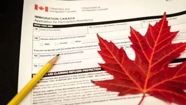 加拿大審計報告指永久居留申請積壓嚴重 普遍需漫長等待