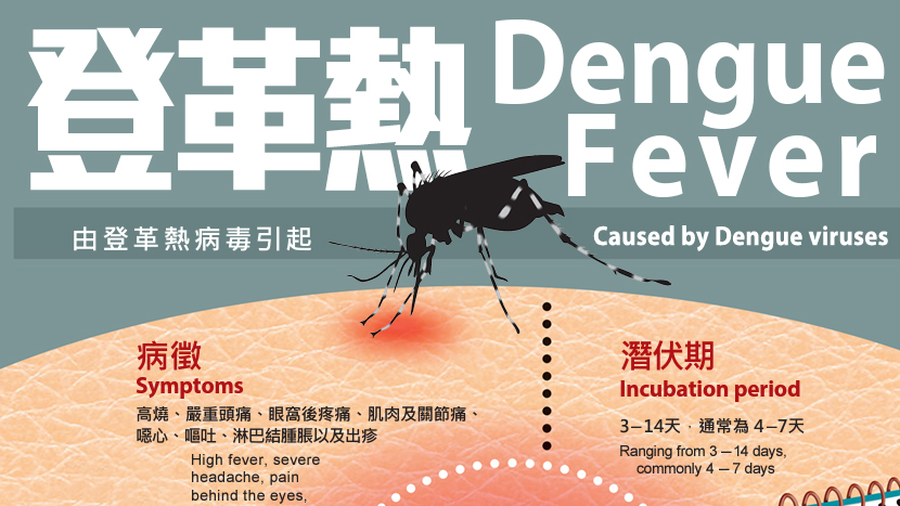 本港錄兩宗登革熱傳入個案 潛伏期內曾到越南及泰國