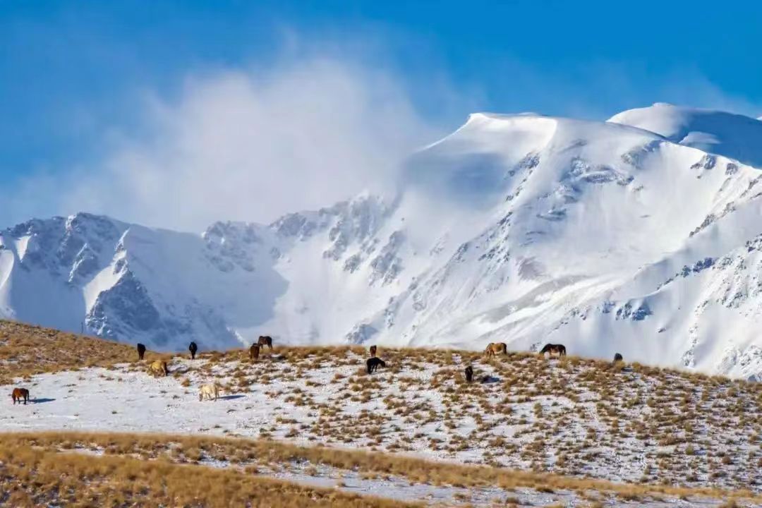 倒計時2天！全國冬季旅遊推廣活動將在新疆和田舉行！