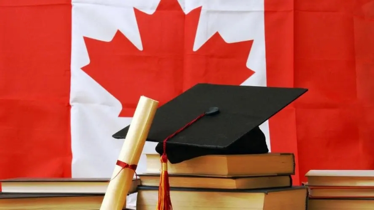 加拿大政府將推行系列措施打擊國際留學生欺詐案