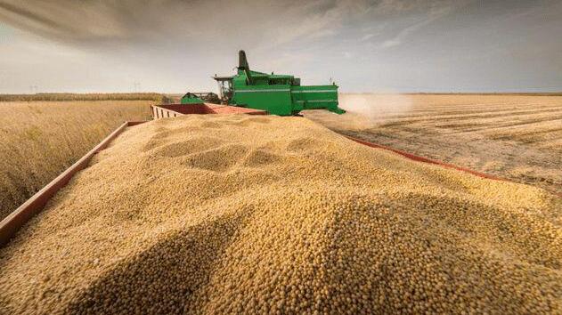 外媒：中儲糧集團向美國採購了約60萬噸的大豆