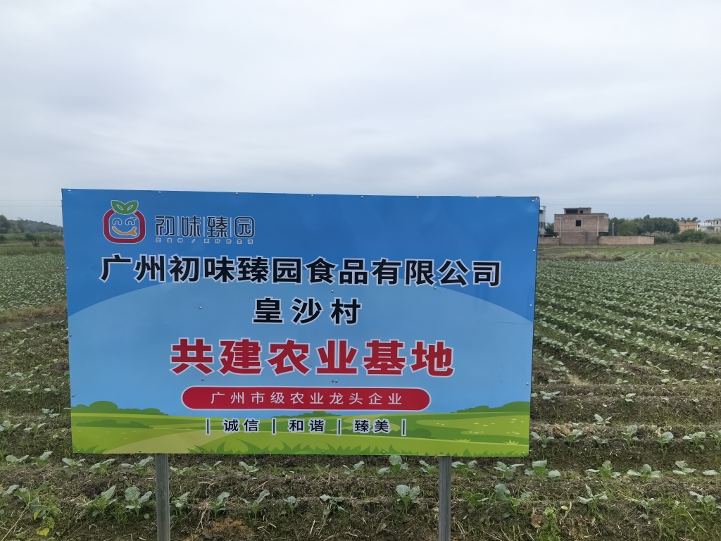 粵北始興整合土地資源發展訂單農業 實現強村富民