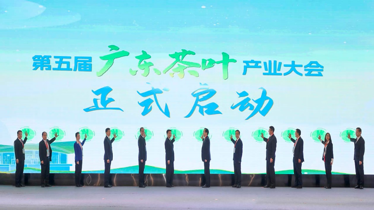 「茗」動南粵 蟬茶飄香  第五屆廣東茶葉產業大會在紫金成功舉辦