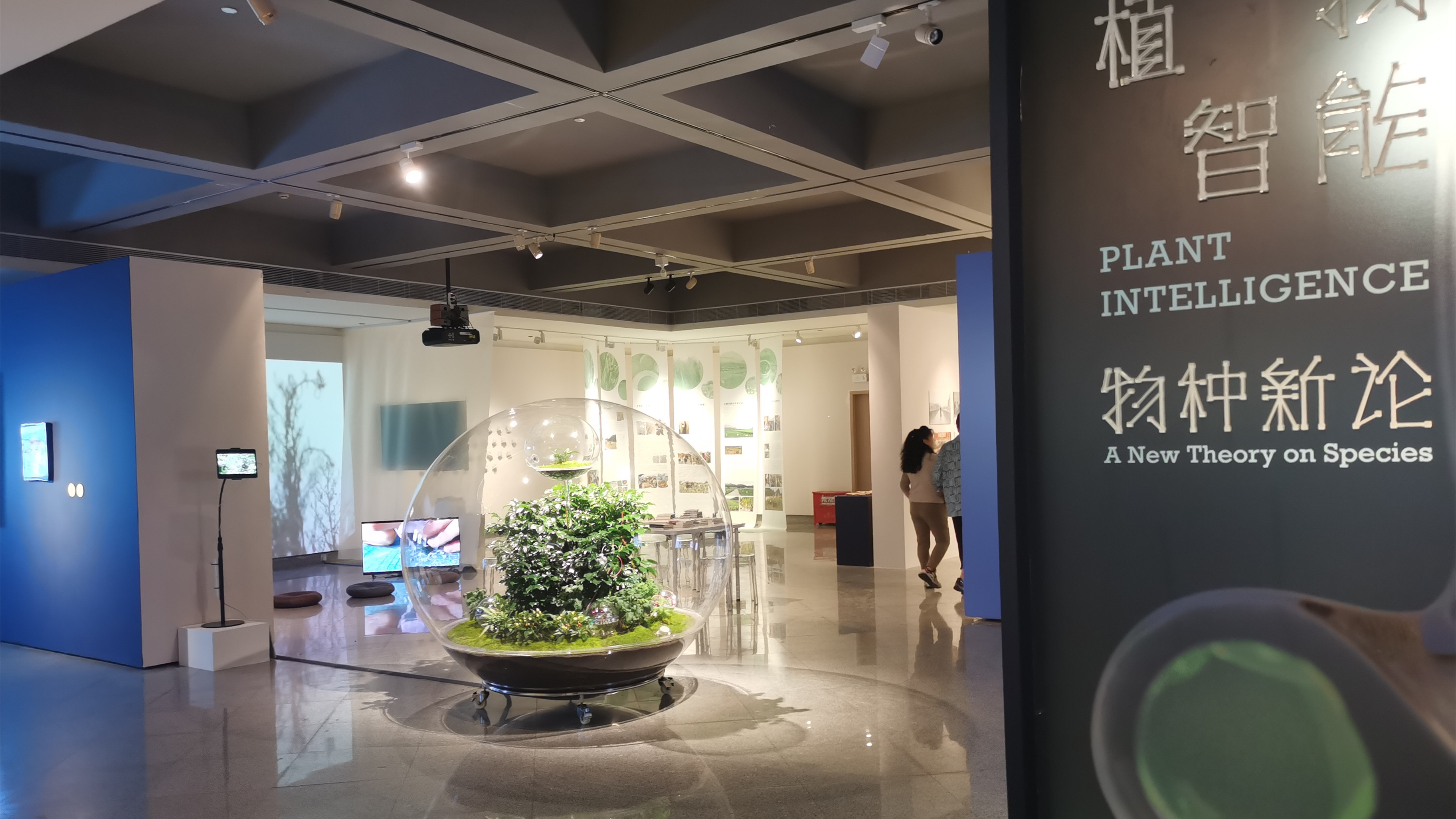 「植物智能——物種新論」亮相深圳關山月美術館