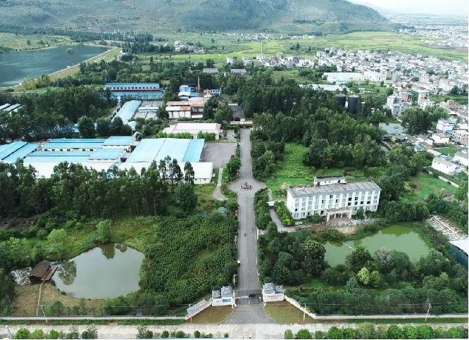雲南鶴慶將綠美「植入」產業園區