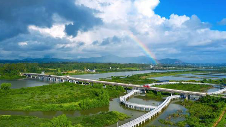 名單來了！廣東新增9個省級重要濕地