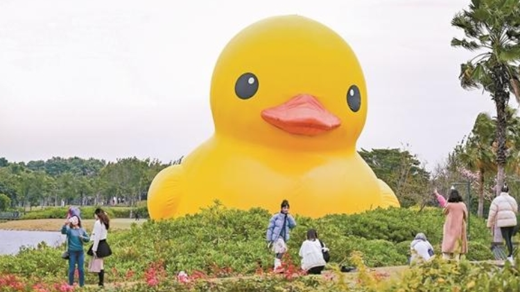 霍夫曼巨型大黃鴨來啦 深圳灣公共藝術季同時啟動