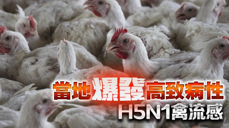 本港暫停進口韓國部分地區禽肉及禽類產品