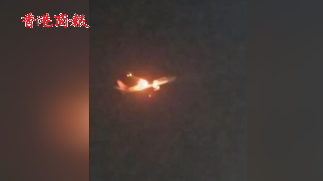 有片丨飛鳥被吸進發動機 韓國一客機着陸時引擎起火