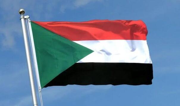 蘇丹外交部：暫停其在伊加特的成員國資格
