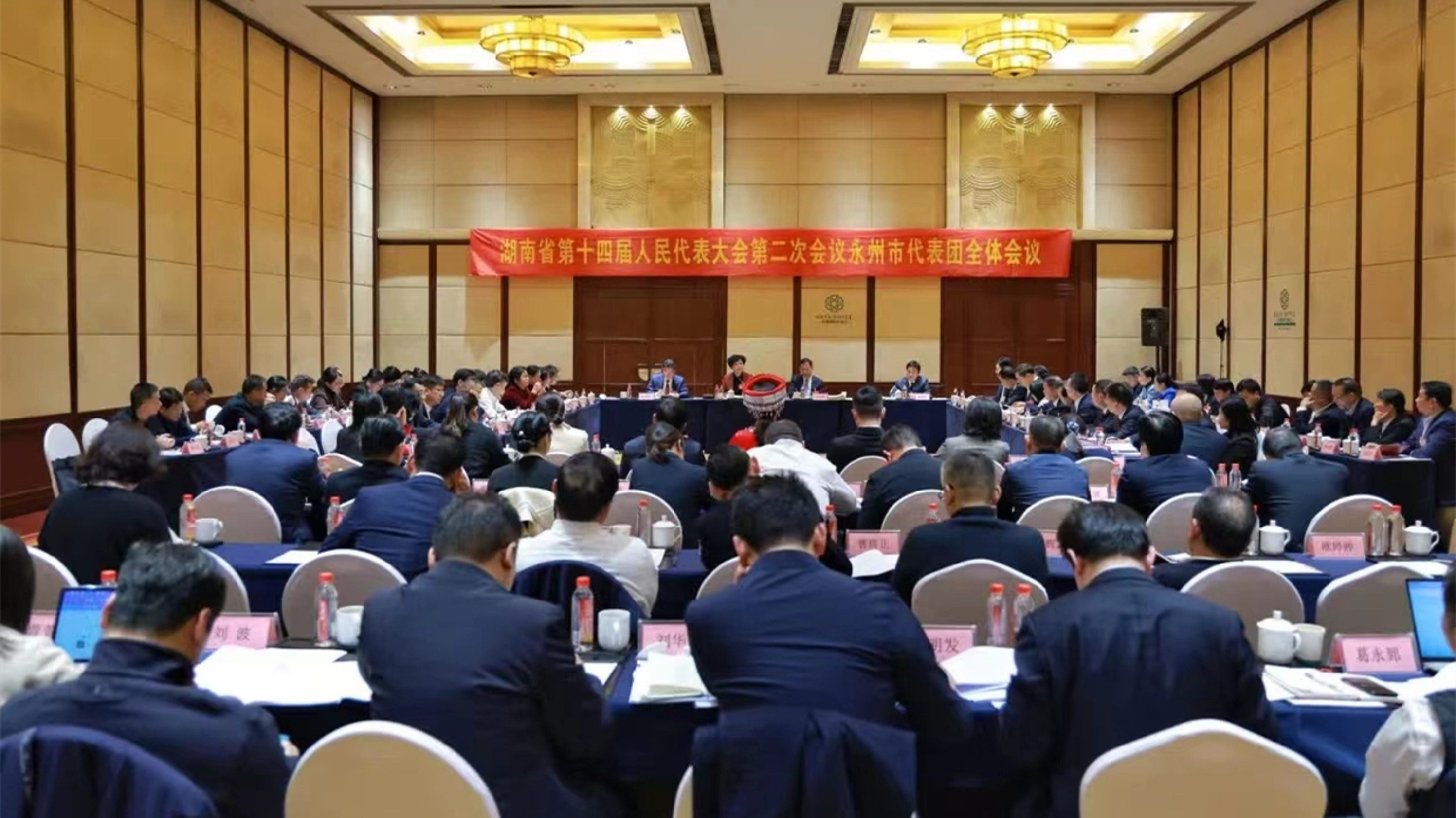 永州代表團提交全團建議：支持永清廣高鐵和國能永州電廠二期建設