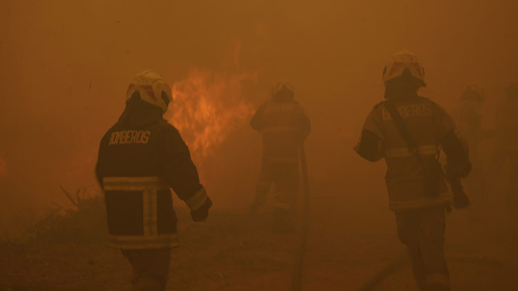 智利大火蔓延已致99人遇難 總統宣布：全國哀悼兩天