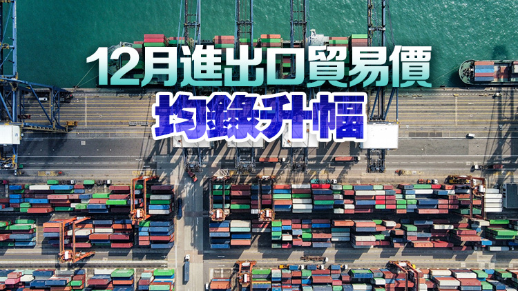 去年本港出口貨量跌11.6% 中出商會料今年將升逾8%