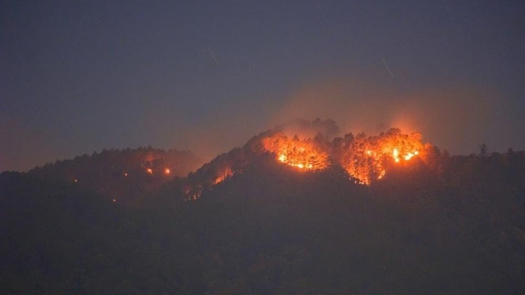 菲律賓本格特省發生多起林火 受影響面積超1000公頃