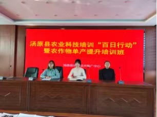 黑龍江湯原縣繼續推進農業科技培訓「百日行動」 助力農作物單產提升