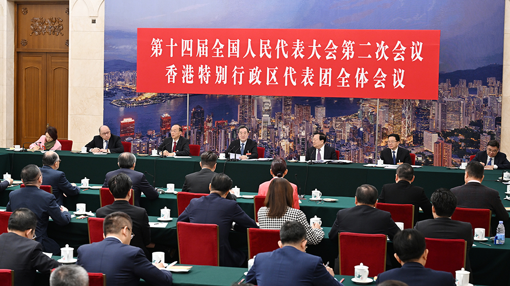 丁薛祥參加全國人大會議香港代表團審議