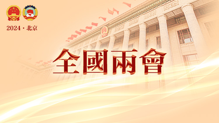 中國將制定民營經濟促進法