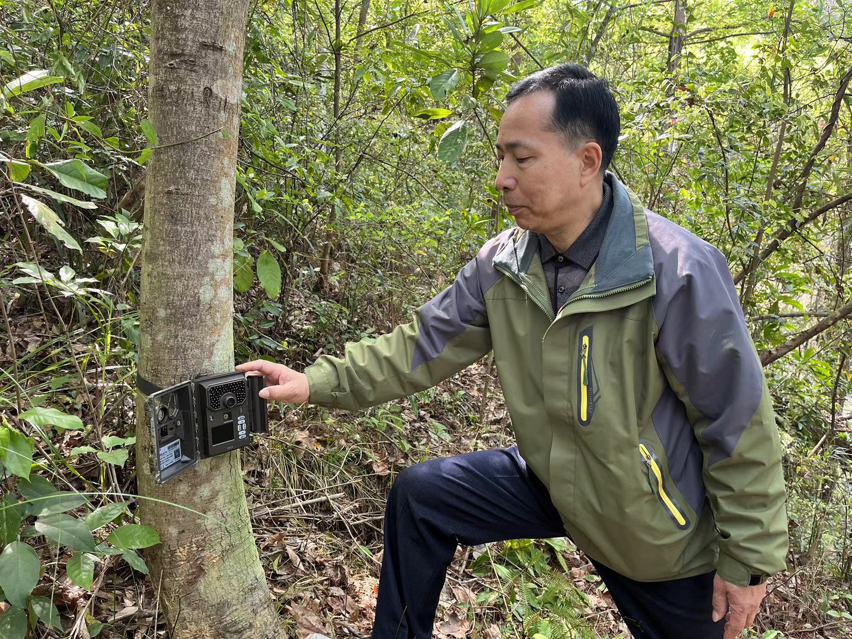 廣東始興南山自然保護區建智慧監測體系 發現52種野生動物