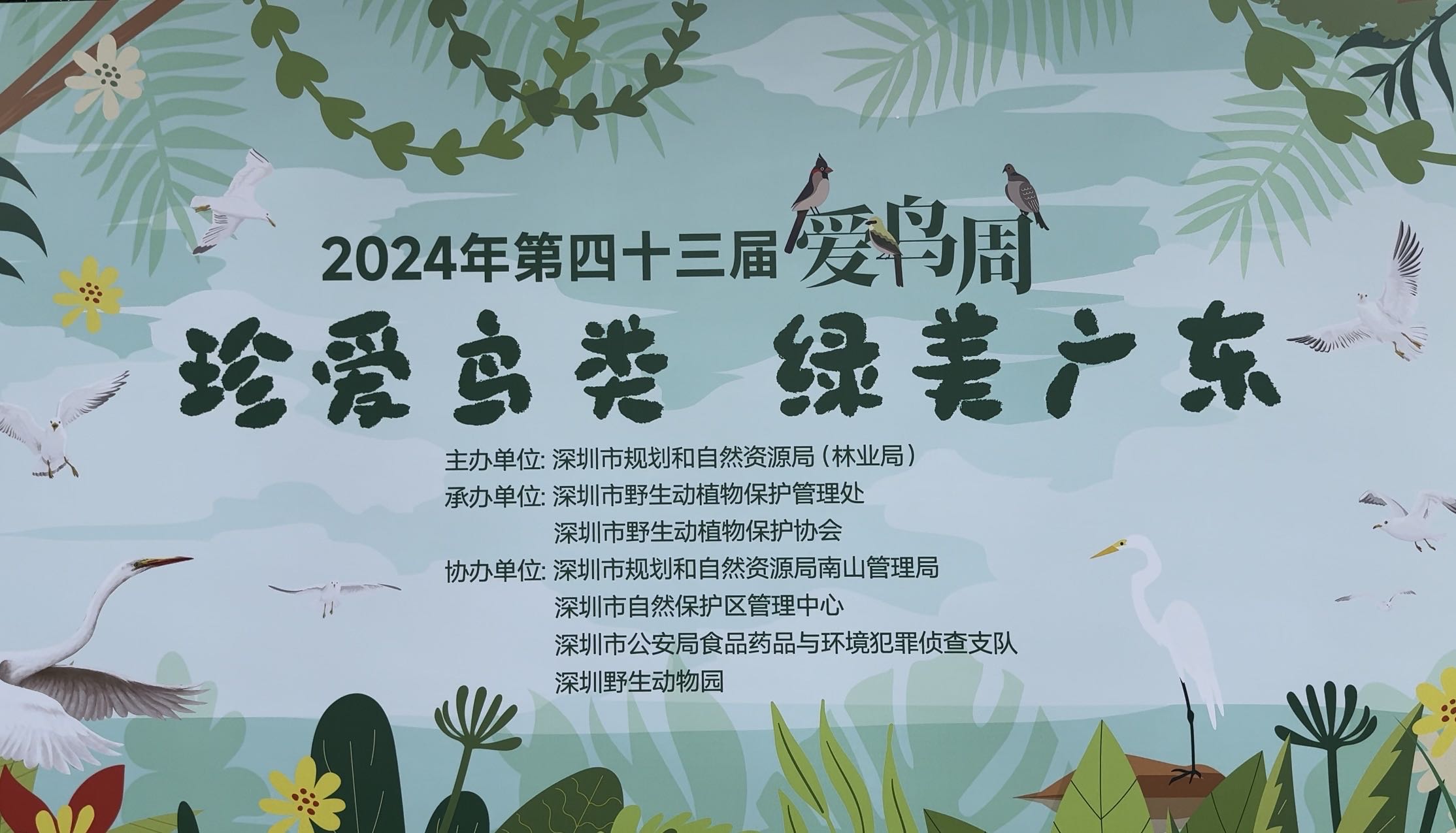 深圳舉辦愛鳥周 助力綠美深圳生態建設