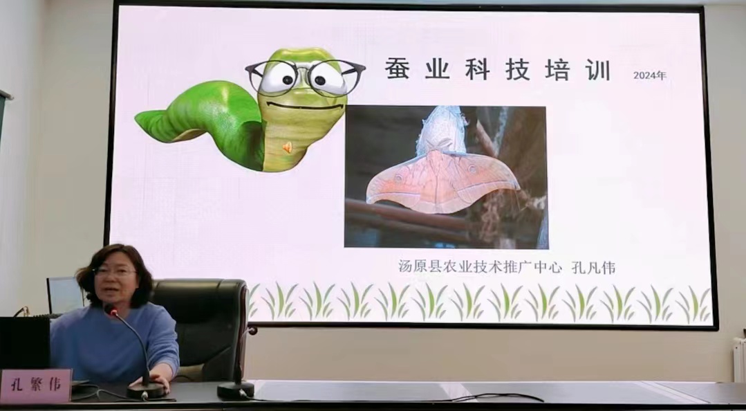 黑龍江湯原縣舉辦2024年蠶業科技培訓班 助力蠶蜂養殖技術提升