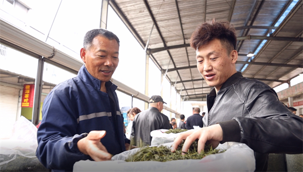 皖南最大茶市日交易超3萬斤 歙縣茶葉市場「熱力值」攀升