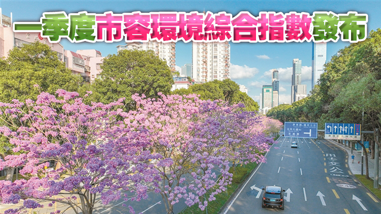 2024年一季度深圳市市容環境綜合指數發布