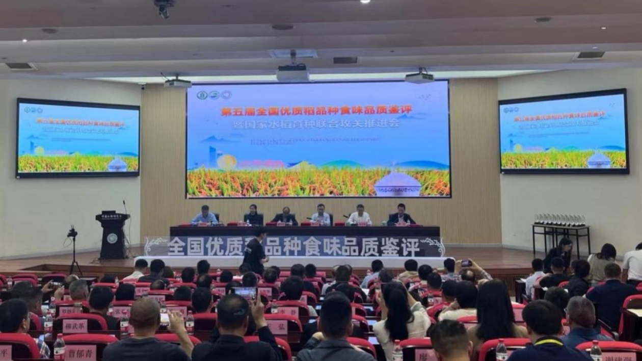 黑龍江省5個水稻品種榮獲第五屆全國優質稻品種食味品質鑒評金獎