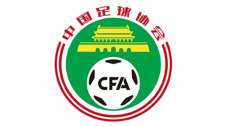 中國足協處罰大連英博隊和廣州隊 多人被停賽